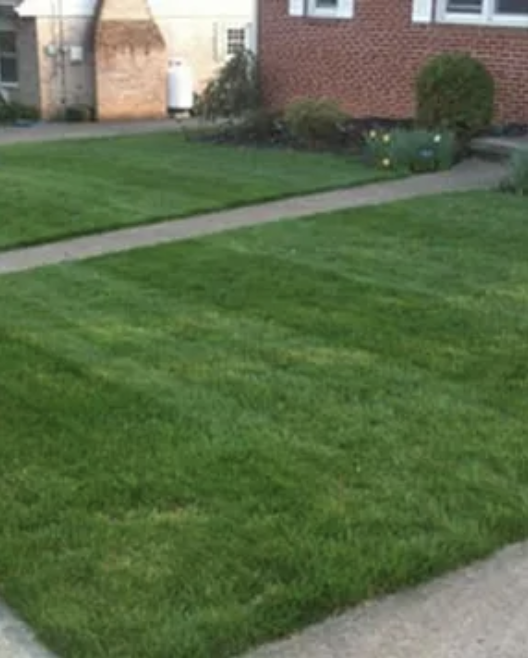 lawncare